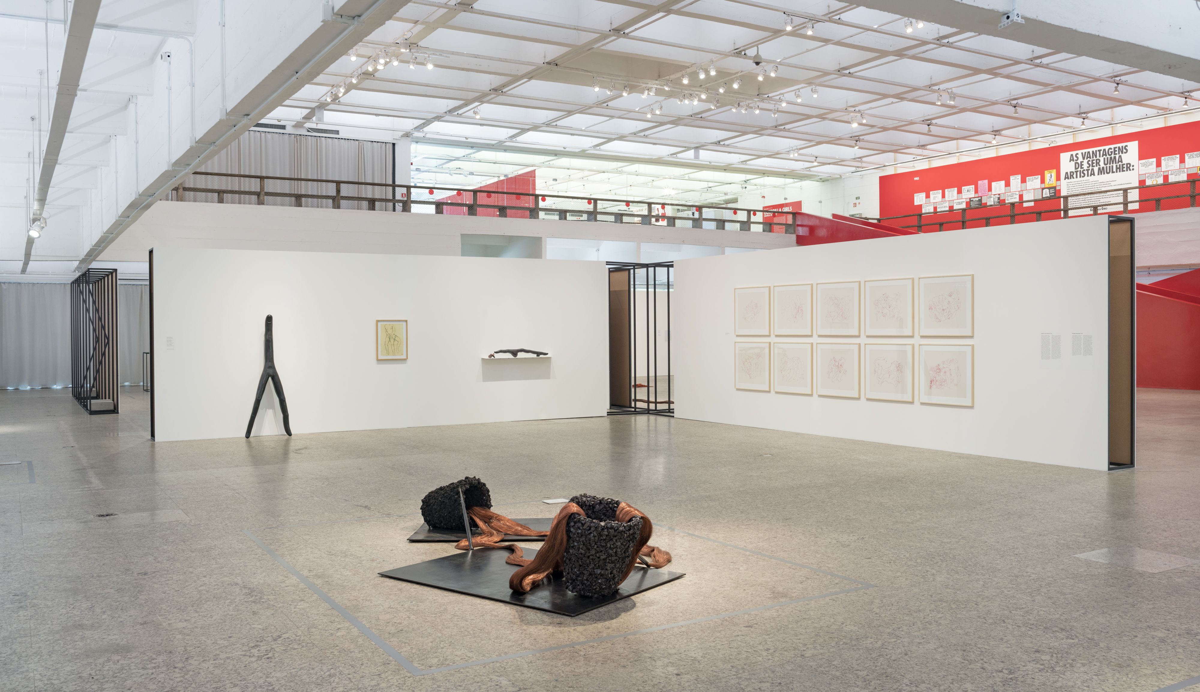 Vista da exposição, Tunga: o corpo em obras, foto Eduardo Ortega