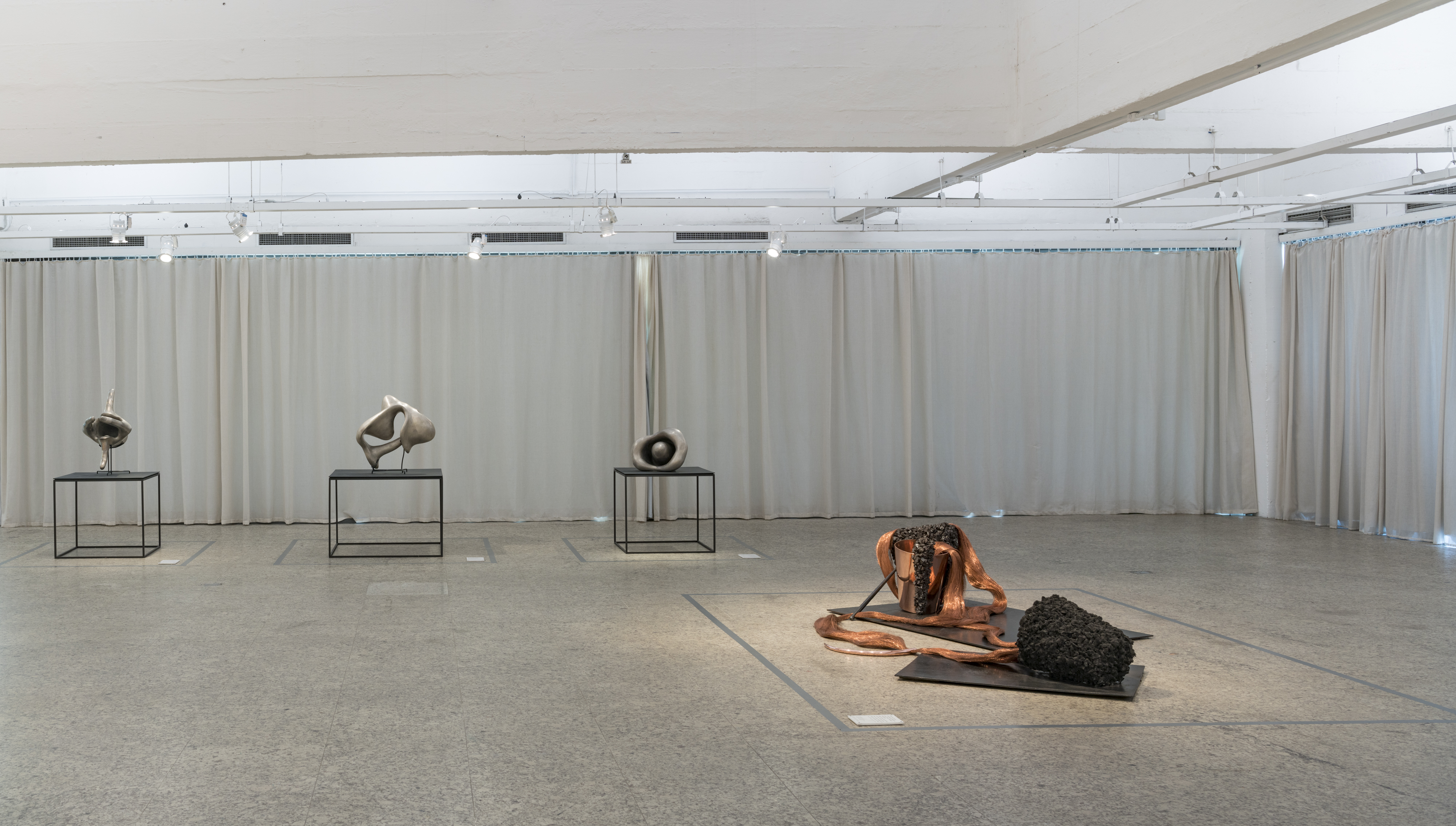 Vista da exposição, Tunga: o corpo em obras, foto Eduardo Ortega